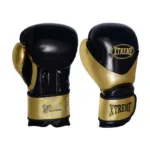 Boxing gloves-005.jpg