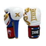 Boxing gloves-007.jpg