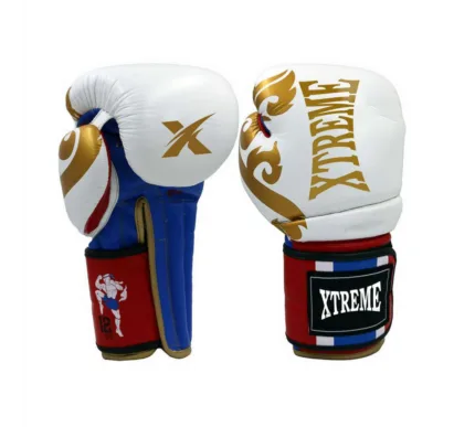 Boxing gloves-007.jpg