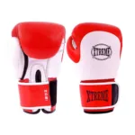 Boxing gloves-013.jpg