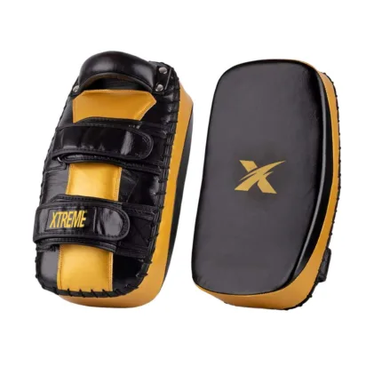 boxing kick shields003.jpg