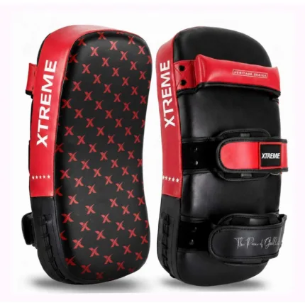 boxing kick shields007.jpg