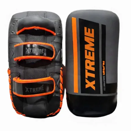 boxing kick shields008.jpg