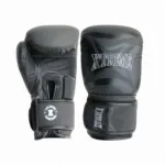 boxing mitts004.jpg