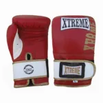 boxing mitts006.jpg