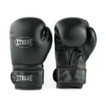 boxing mitts009.jpg