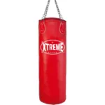 boxing punching bags009.jpg