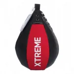 boxing speed bags006.jpg